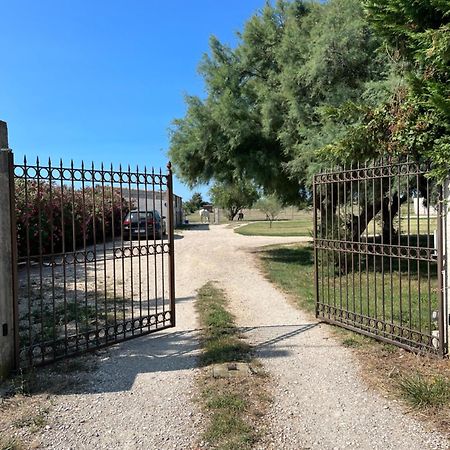 « La Parenthese » Gite En Camargue Арл Екстериор снимка