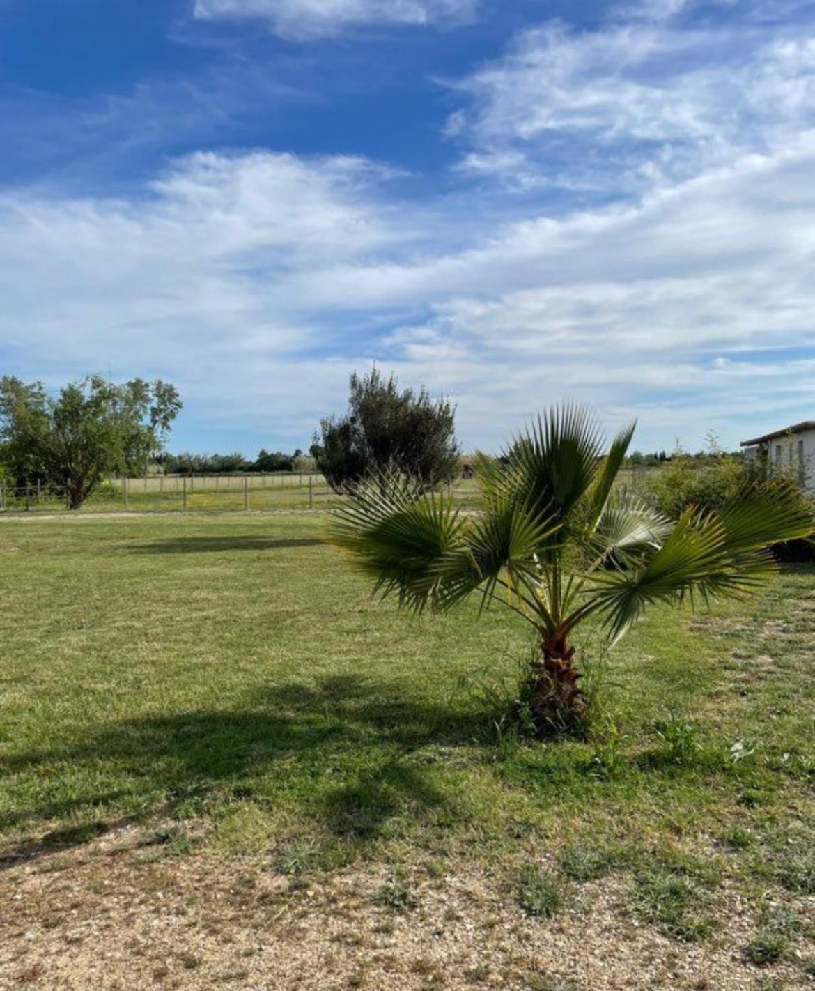 « La Parenthese » Gite En Camargue Арл Екстериор снимка